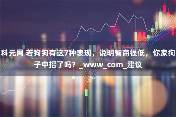 科元网 若狗狗有这7种表现，说明智商很低，你家狗子中招了吗？_www_com_建议