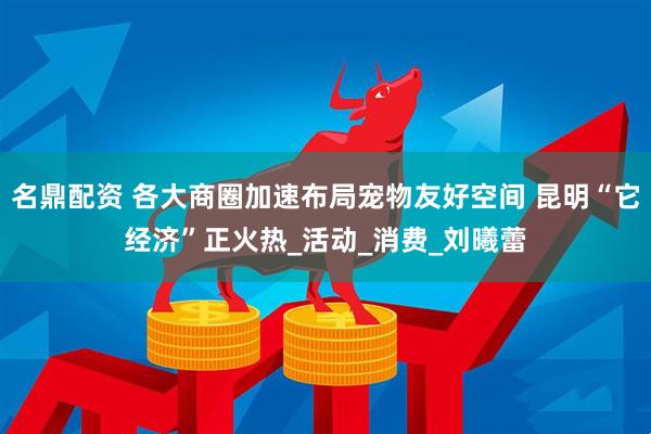 名鼎配资 各大商圈加速布局宠物友好空间 昆明“它经济”正火热_活动_消费_刘曦蕾