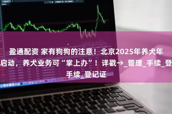 盈通配资 家有狗狗的注意！北京2025年养犬年检已启动，养犬业务可“掌上办”！详戳→_管理_手续_登记证