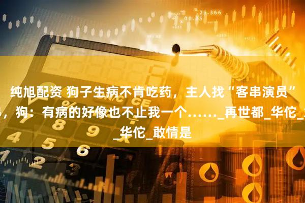 纯旭配资 狗子生病不肯吃药，主人找“客串演员”来客串，狗：有病的好像也不止我一个……_再世都_华佗_敢情是