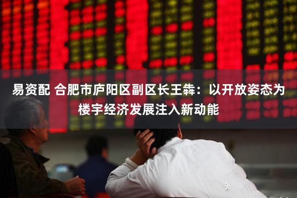 易资配 合肥市庐阳区副区长王犇：以开放姿态为楼宇经济发展注入新动能