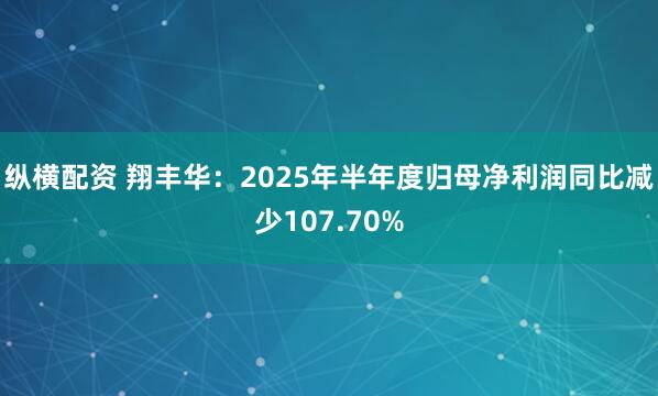 纵横配资 翔丰华：2025年半年度归母净利润同比减少107.70%