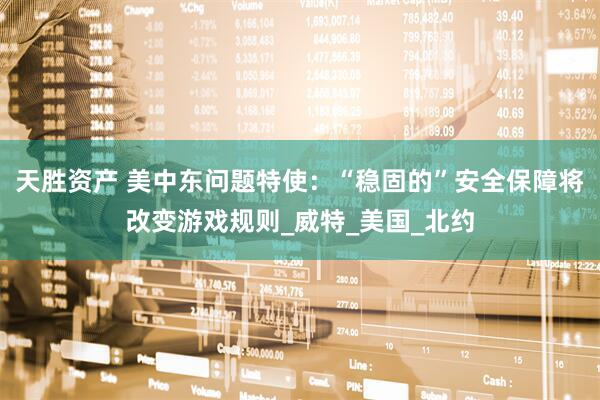 天胜资产 美中东问题特使：“稳固的”安全保障将改变游戏规则_威特_美国_北约
