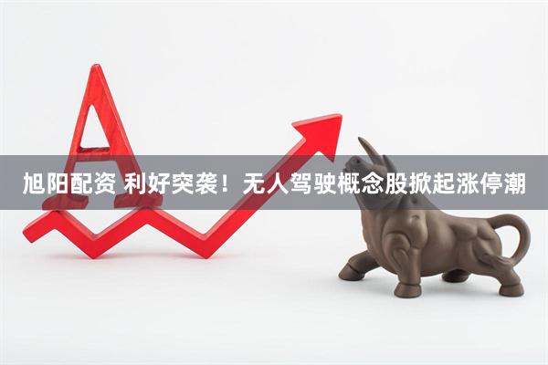 旭阳配资 利好突袭！无人驾驶概念股掀起涨停潮