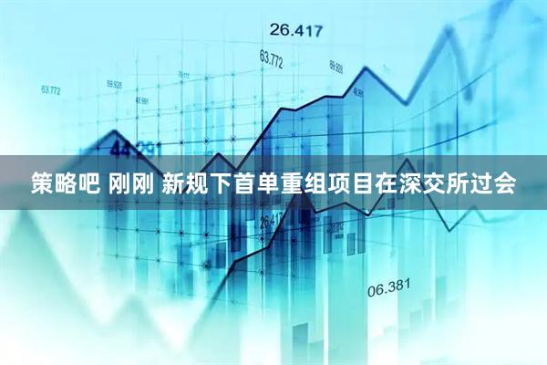 策略吧 刚刚 新规下首单重组项目在深交所过会