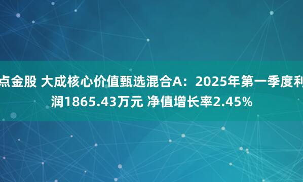 点金股 大成核心价值甄选混合A：2025年第一季度利润1865.43万元 净值增长率2.45%