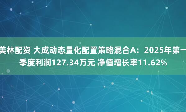 美林配资 大成动态量化配置策略混合A：2025年第一季度利润127.34万元 净值增长率11.62%