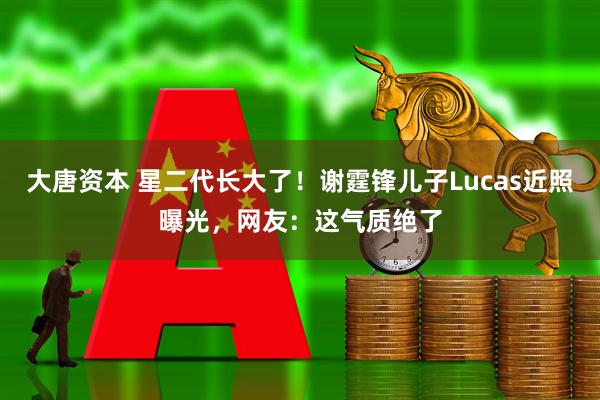 大唐资本 星二代长大了！谢霆锋儿子Lucas近照曝光，网友：这气质绝了