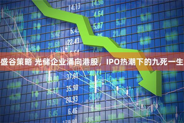 盛谷策略 光储企业涌向港股，IPO热潮下的九死一生