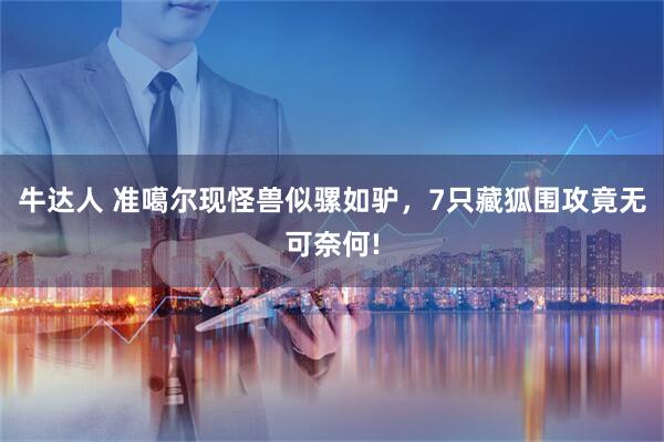 牛达人 准噶尔现怪兽似骡如驴，7只藏狐围攻竟无可奈何!